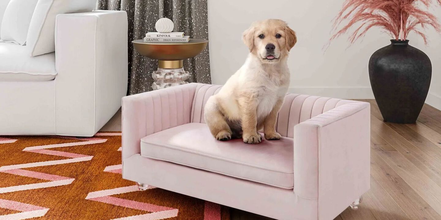 Small pink couch made for a pet with a small golden retriever puppy sitting on top