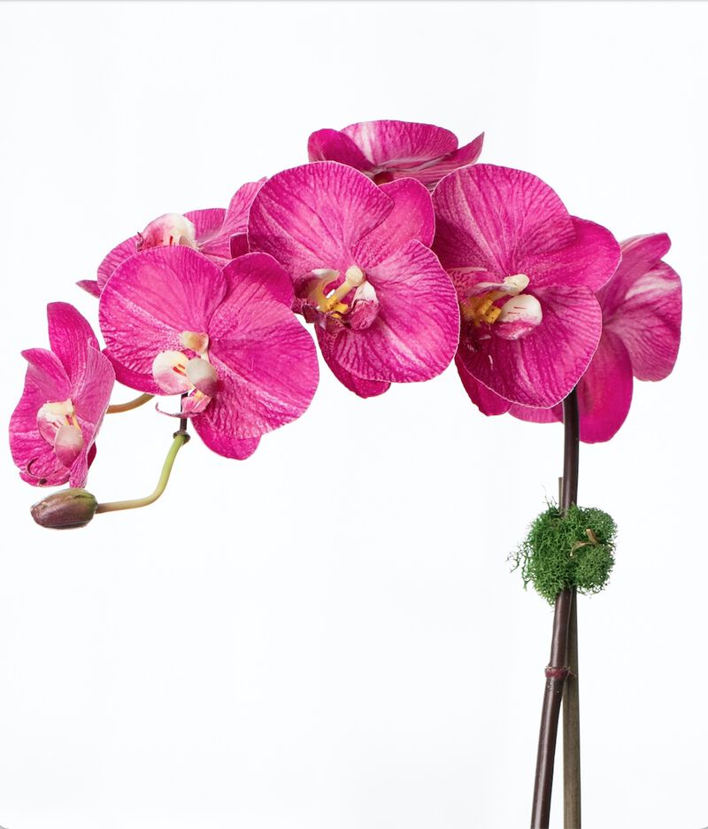 Large Artificial Orchid Arrangement In Glass Vase - 33”