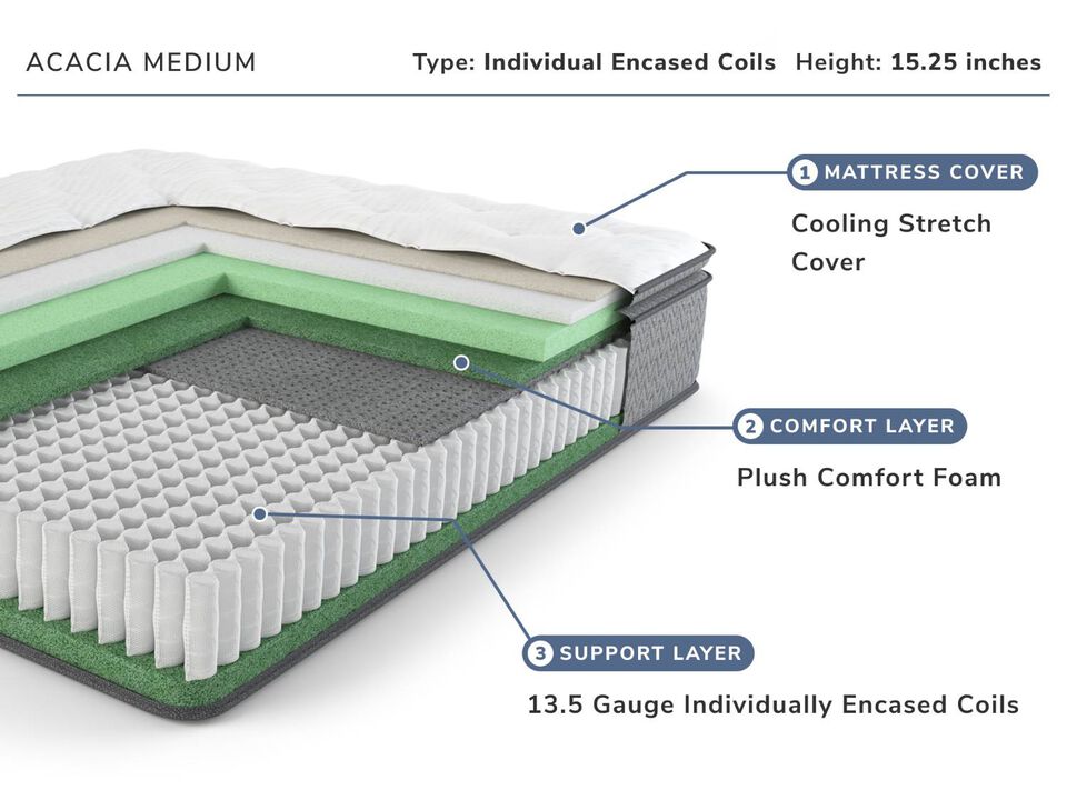 Acacia Queen Mattress