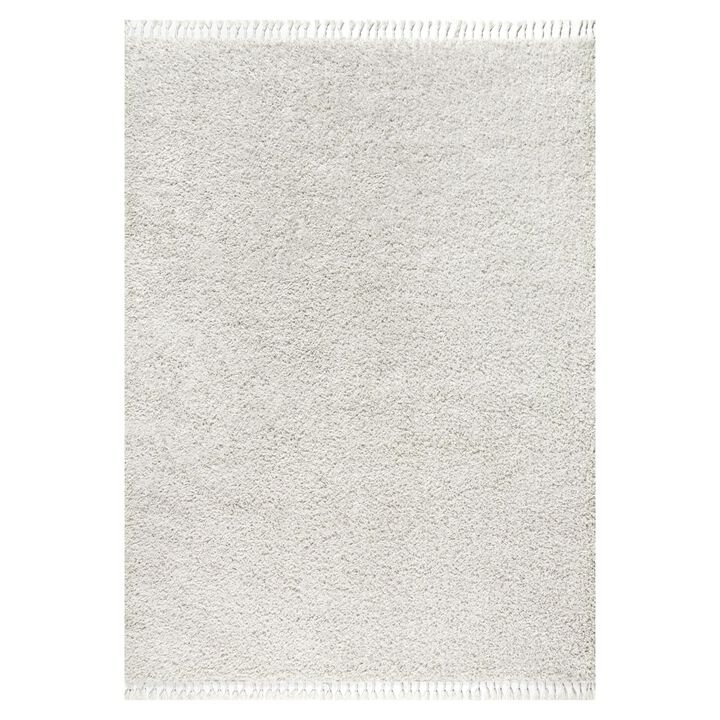 Mercer Shag Plush Tassel Area Rug