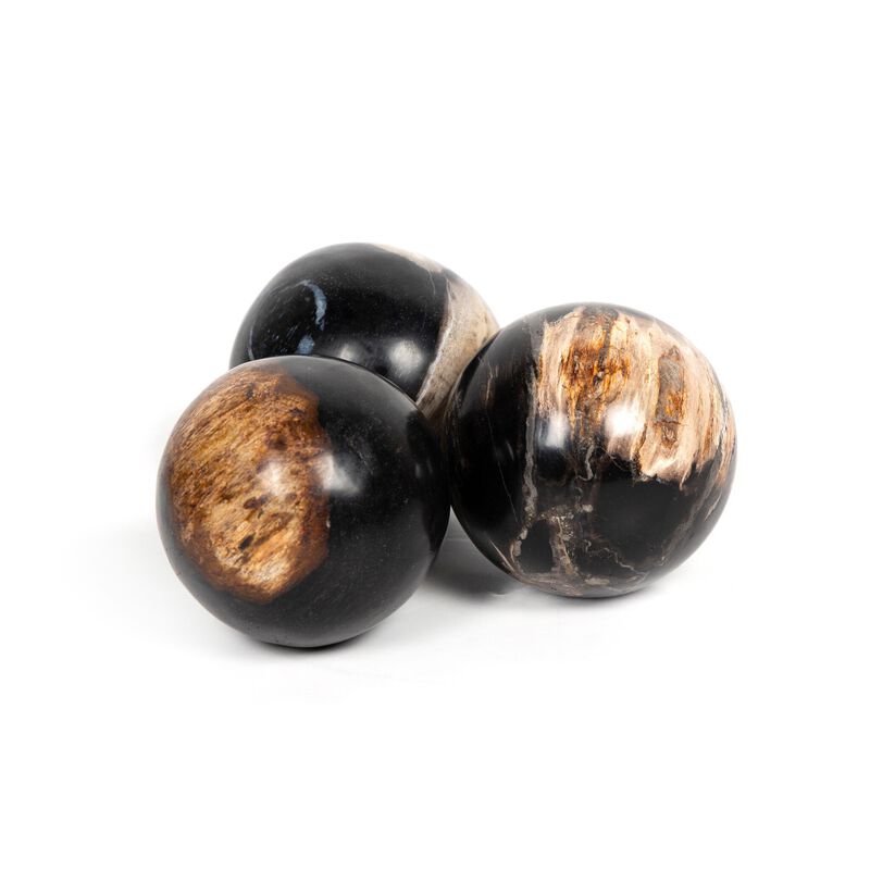 Petrified Wood Balls (Set Of 3)