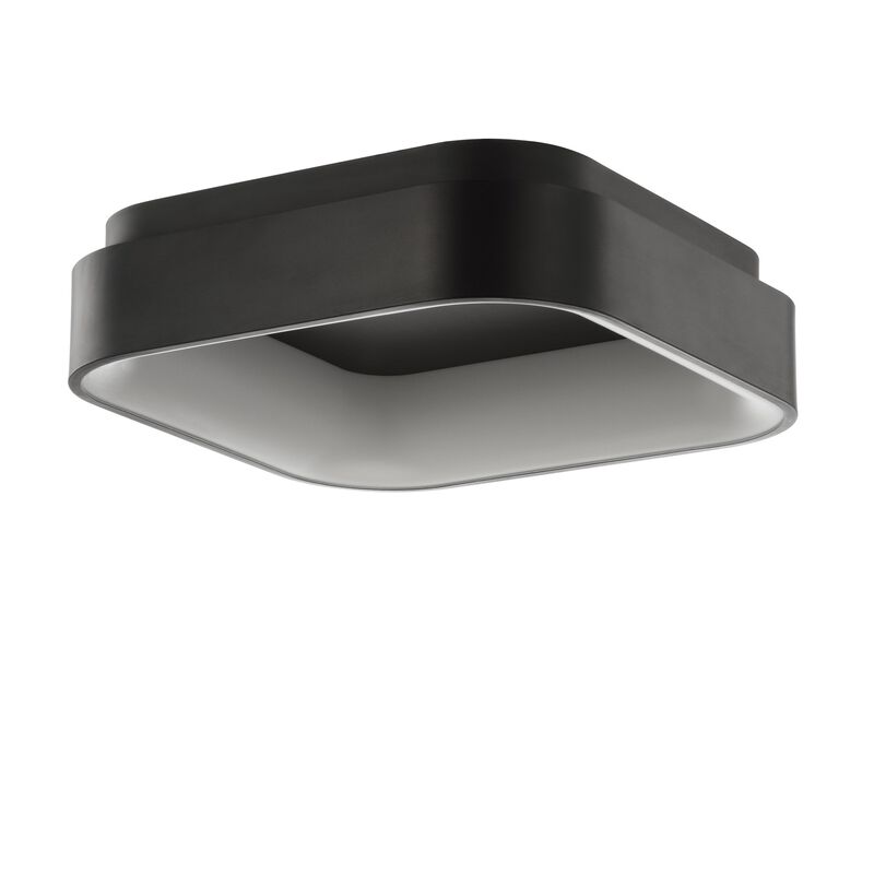 Rafael Integrated LED Metal Flush Mount Ceiling Light