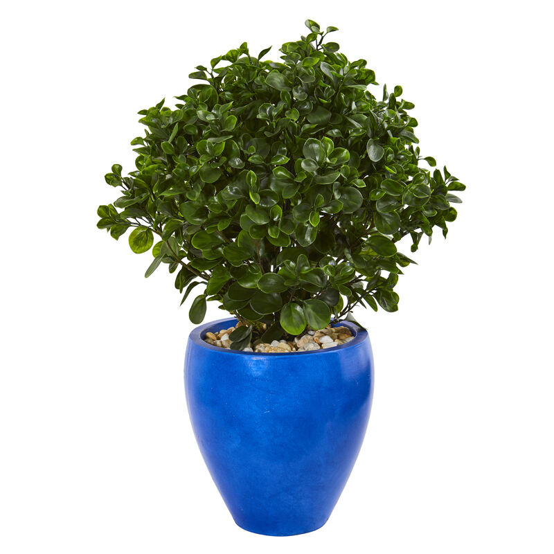 HomPlanti 32" Peperomia Artificial Plant in Blue Planter UV Resistant (Indoor/Outdoor)