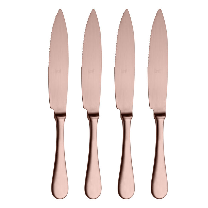 4-Piece Steak Knife Set in Ice Bronze