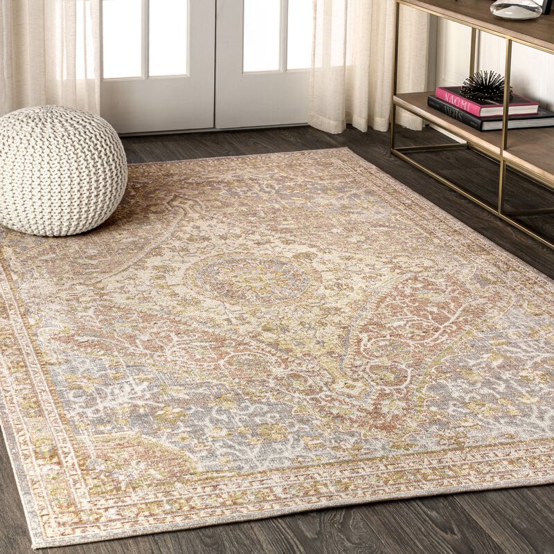 Petras Modern Ornate Medallion Area Rug