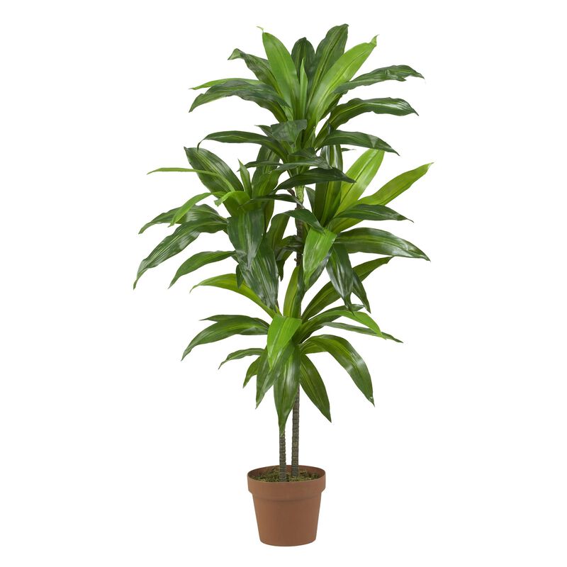 HomPlanti 48 Inches Dracaena Silk Plant (Real Touch)