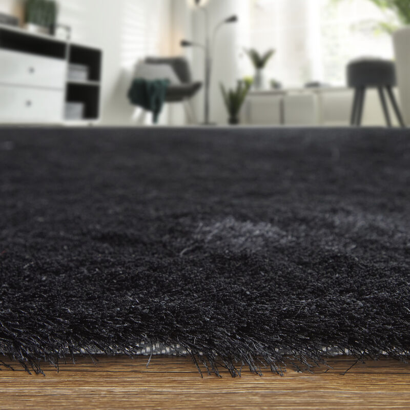 Indochine 4550F Black 2' x 3'4" Rug