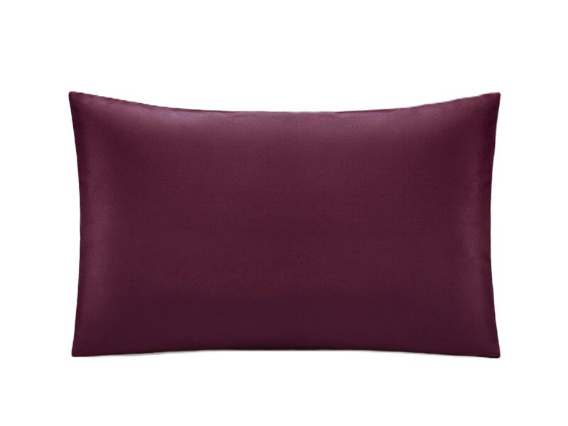 MOMMESILK 22 Momme Silk Pillowcases - Zippered