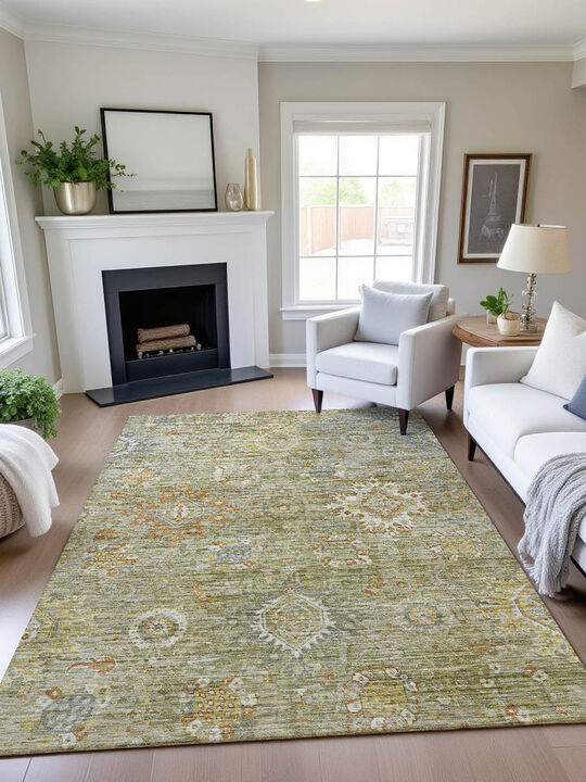 Silk Road SR9 Sage 10' x 14' Rug