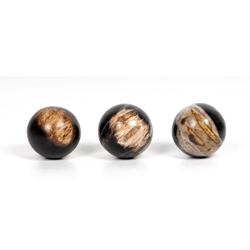 Petrified Wood Balls (Set Of 3)