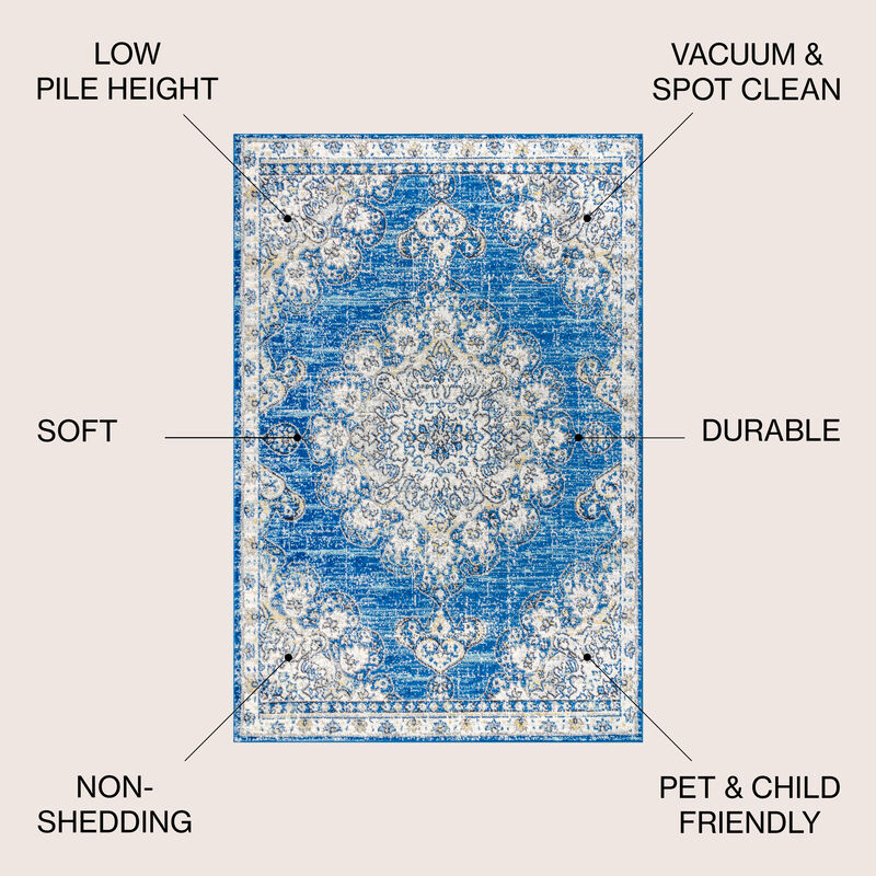 Leann Bohemian Flair Boho Vintage Medallion Area Rug