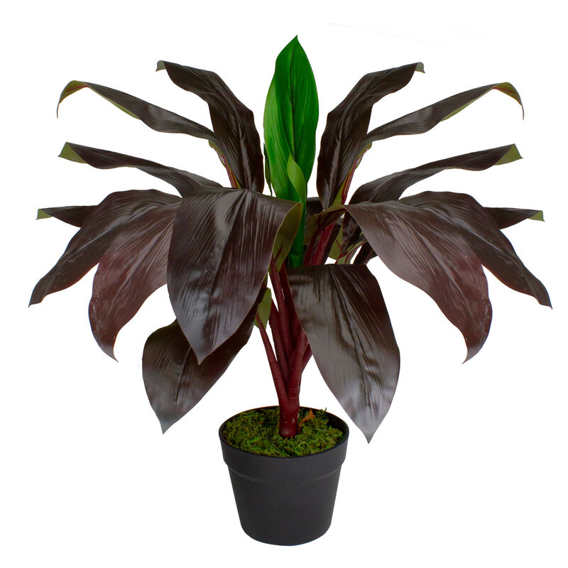 23" Red and Green Artificial Dracaena Potted Plant Home Decor