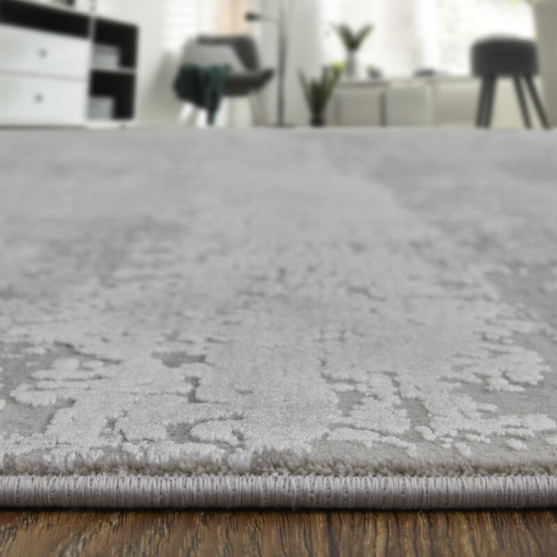 Cadiz 3888F Taupe/Gray/Silver 2'2" x 3'2" Rug