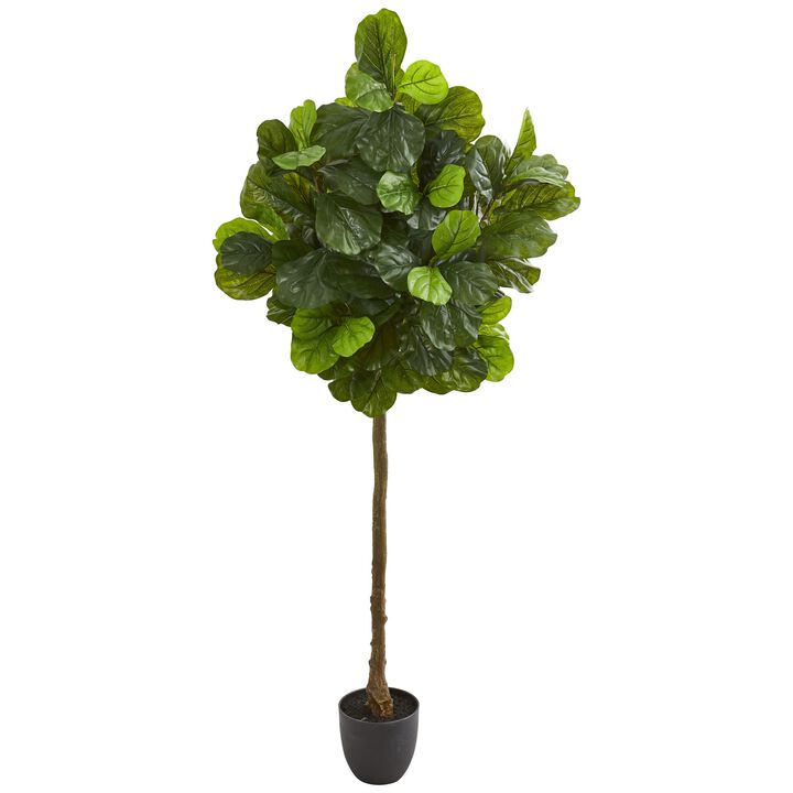 HomPlanti 6 Feet Fiddle Leaf Artificial Tree (Real Touch)