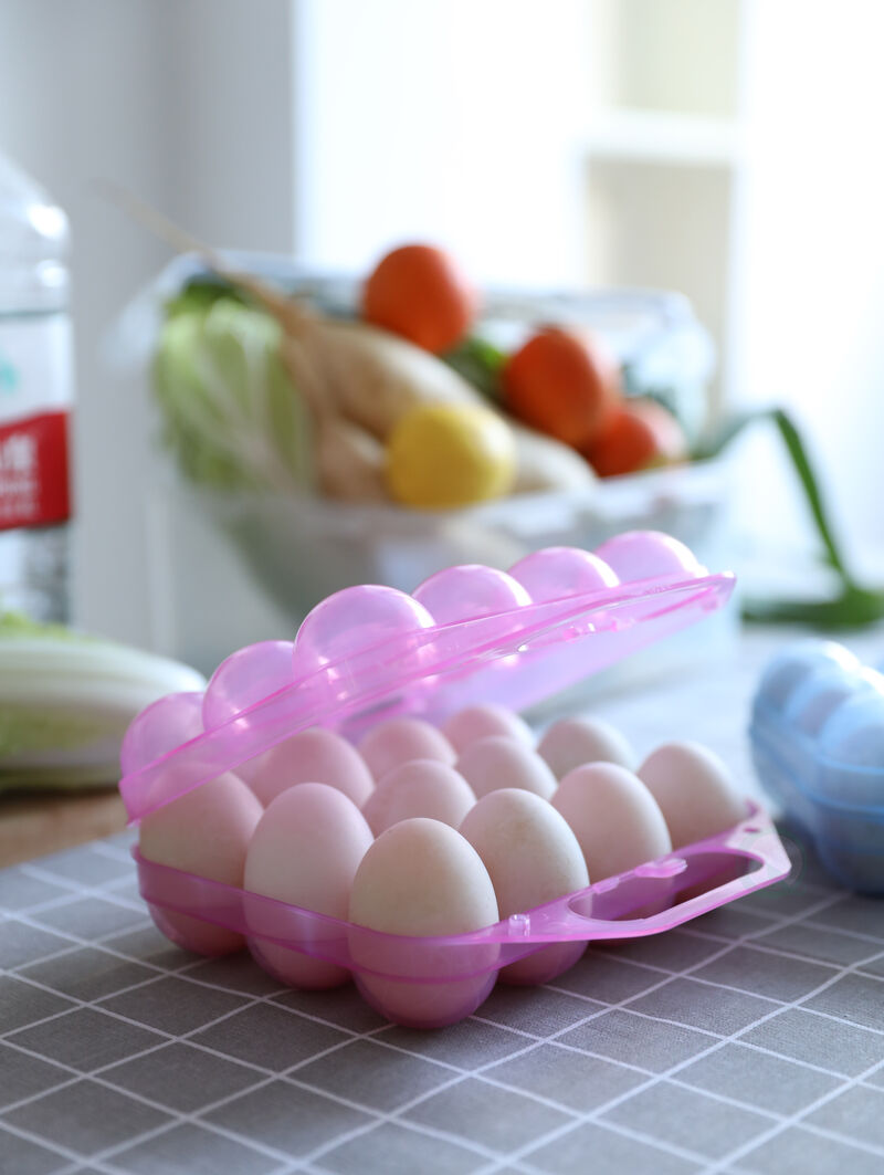 Clear Plastic Egg Carton, 12 Egg Holder Carrying Case with Handle, Set of 2