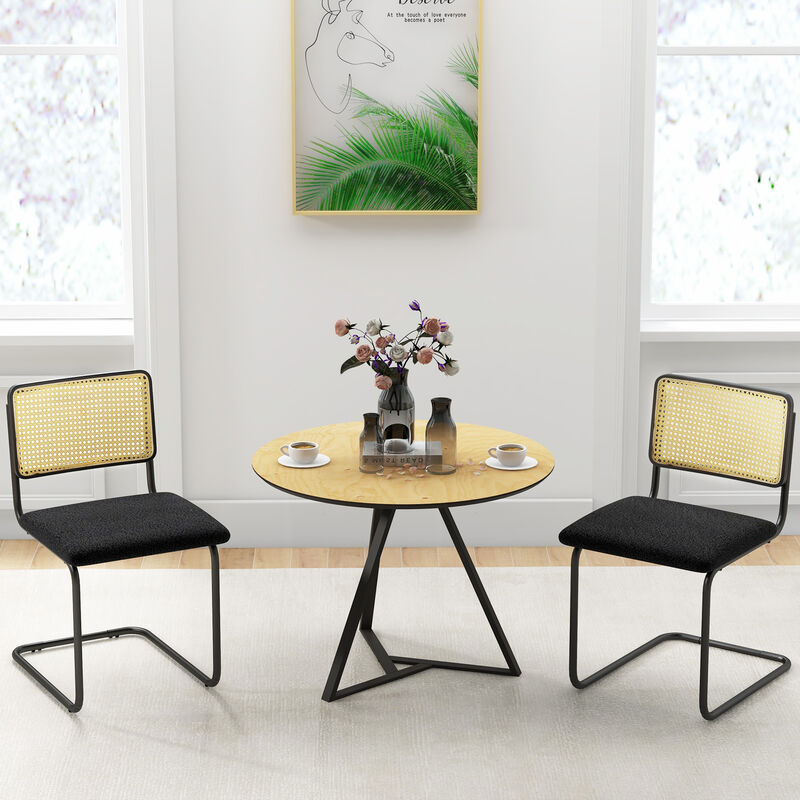 2 Pieces Mid-Century Modern Dining Chair with Cantilever Design-Black