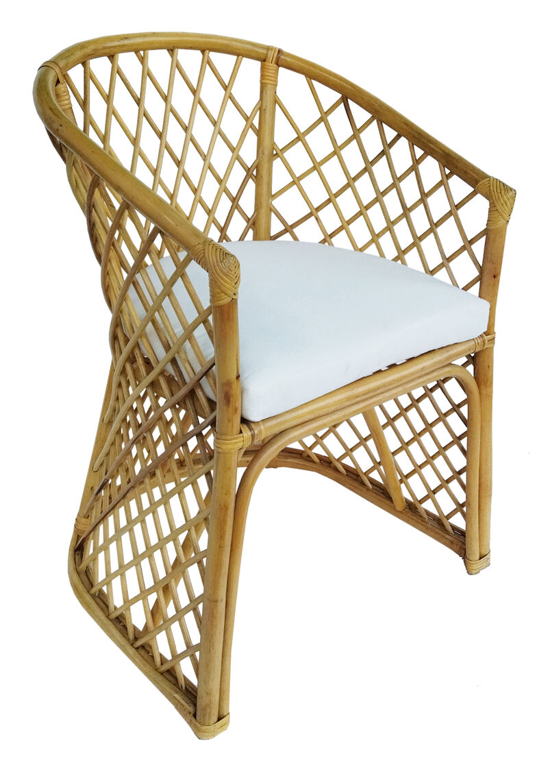 Rattan Palm Chair