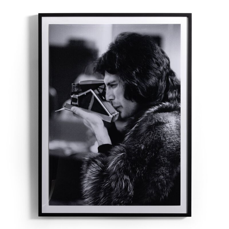 Freddie In Furs