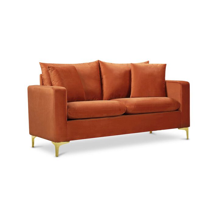 Meridian Furniture Naomi Cognac Velvet Loveseat