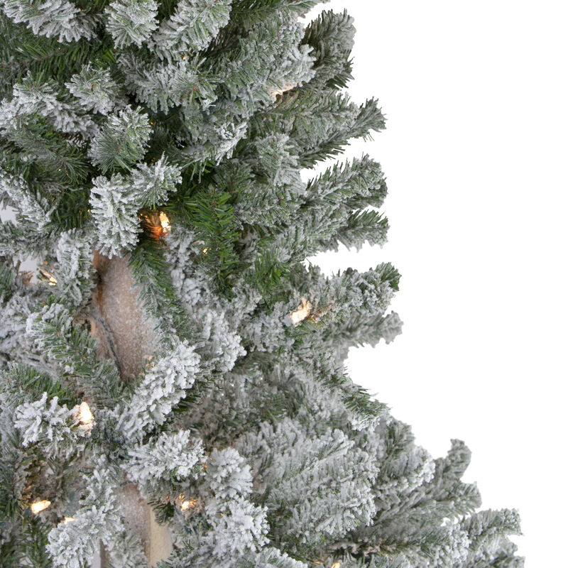 6' Pre-Lit Flocked Alpine Artificial Christmas Tree  Clear Lights