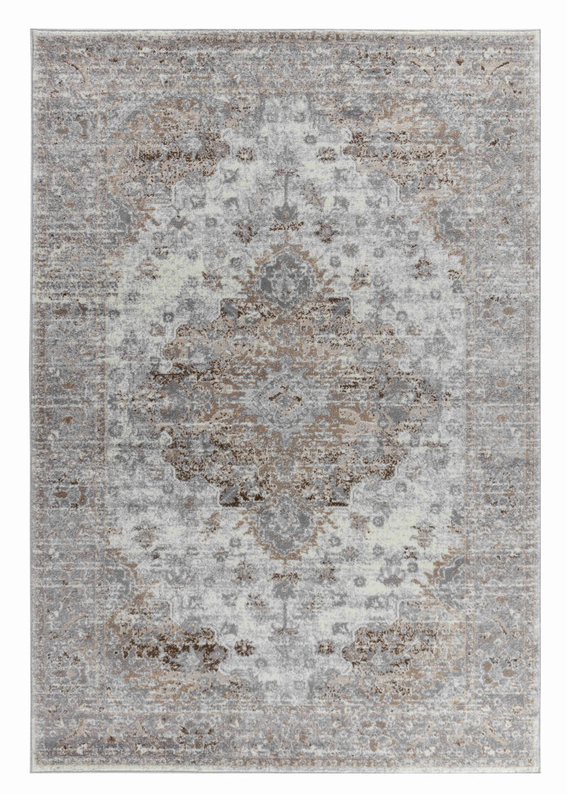 Sakarya Oriental Distressed Brown Grey Indoor Area Rug