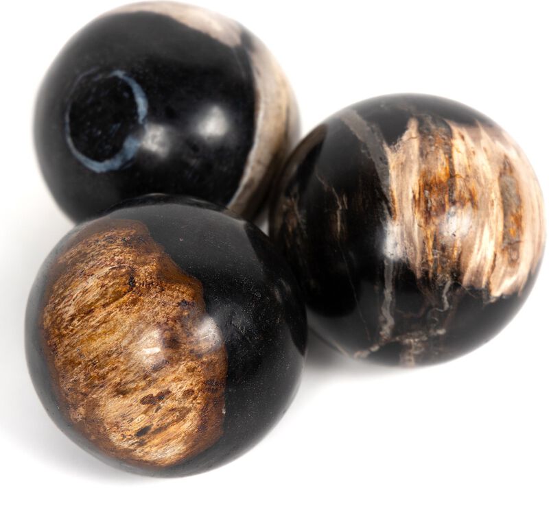 Petrified Wood Balls (Set Of 3)