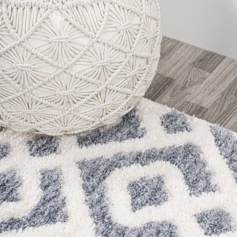 Astrid Retro Trellis High-Low Area Rug