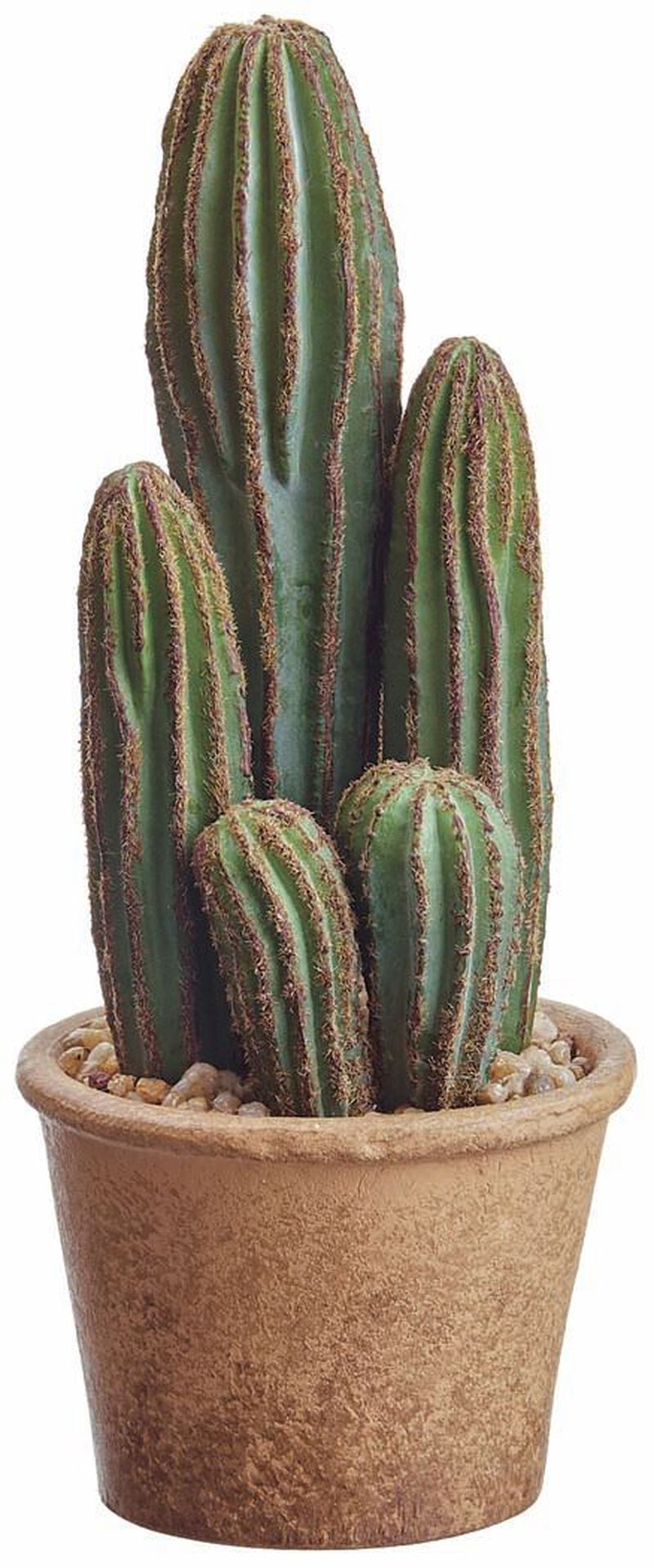 9.5"column Cactus In Pot