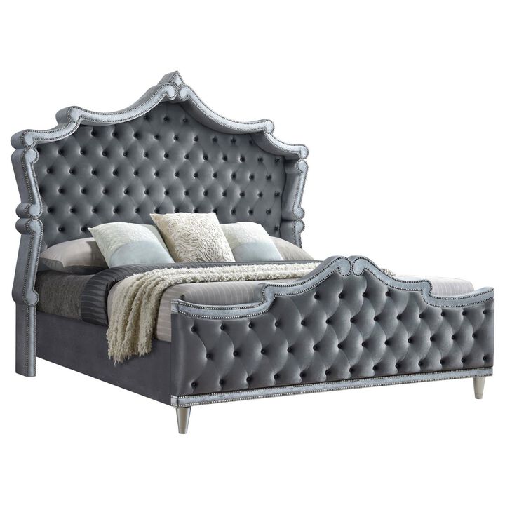 Benjara Ola Queen Size Bed, Cushioned Classic Trim, Button Tufted Gray Upholstery
