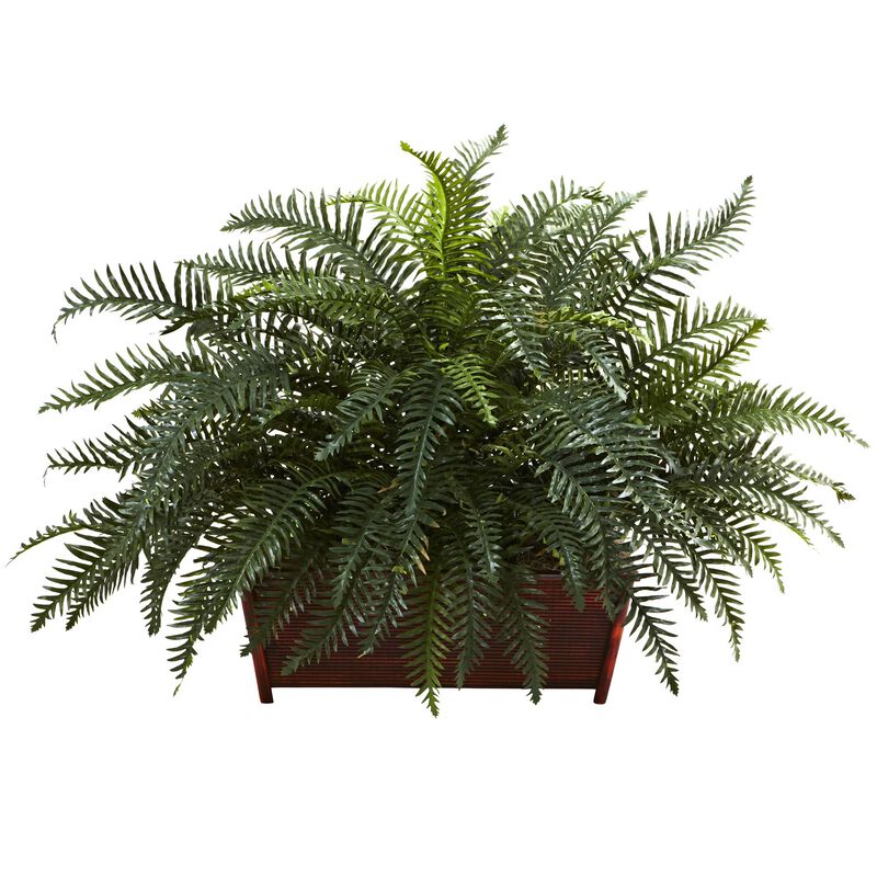 HomPlanti River Fern w/Wood Planter