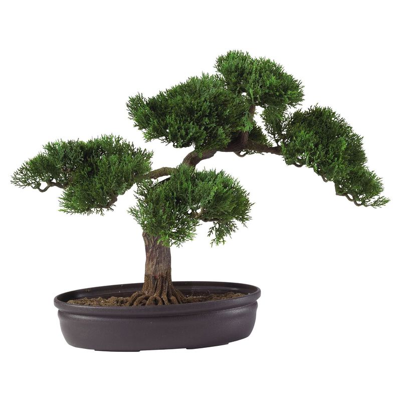 Nearly Natural 16-in Cedar Bonsai Tree