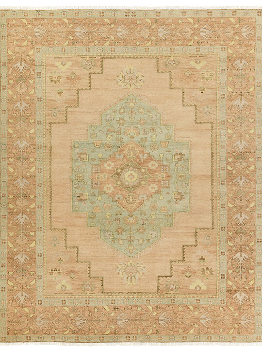 Reza Hasina Tan/Taupe 10' x 14' Rug