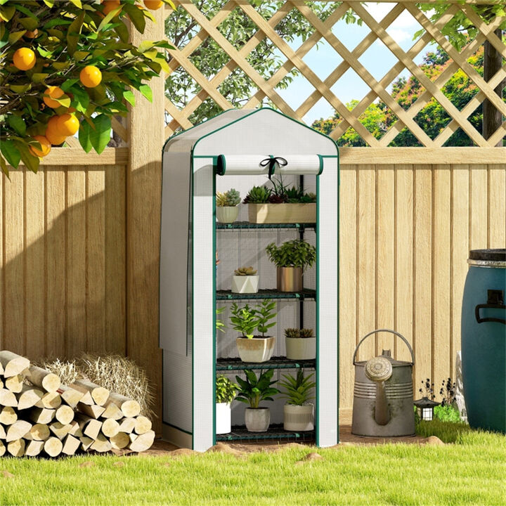 Portable Mini Greenhouse with Removable Cover for Patio or Backyard