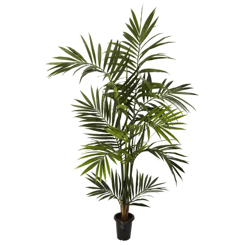 Nearly Natural 6-ft Kentia Palm Tree x 10/Fronds