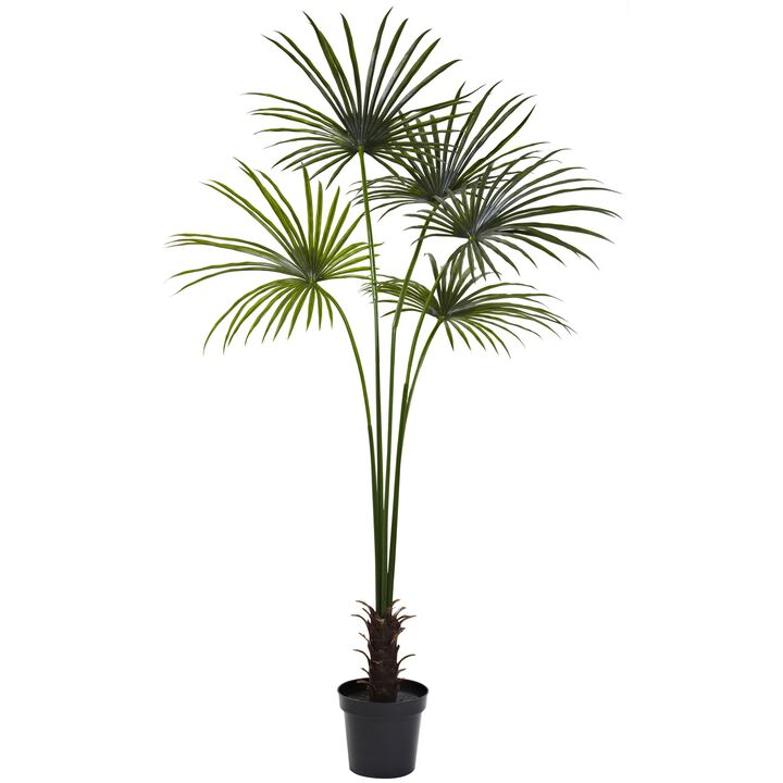 HomPlanti 7 Feet Fan Palm Tree UV Resistant (Indoor/Outdoor)