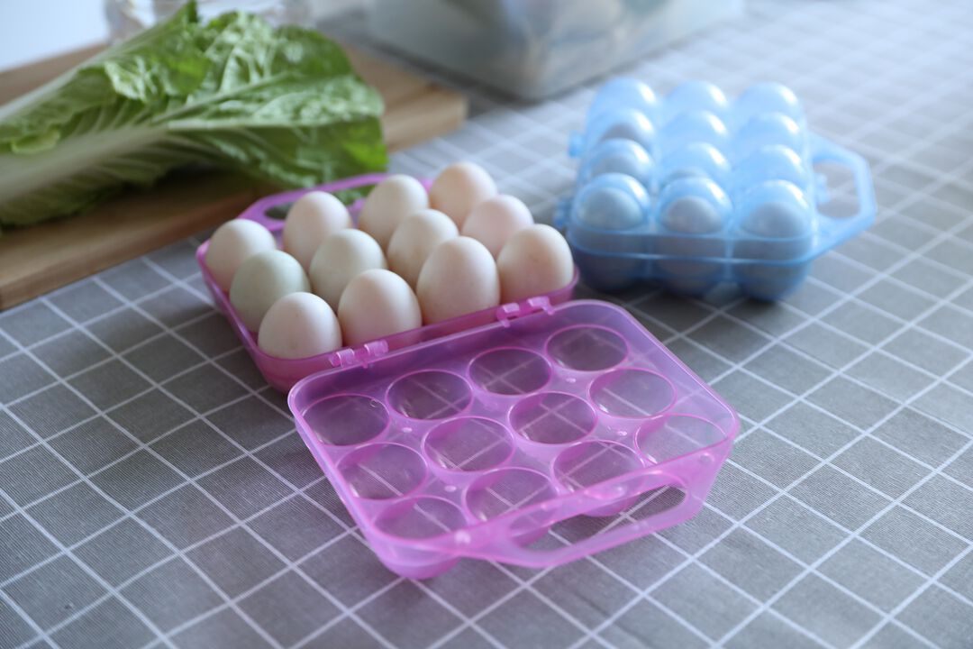 Clear Plastic Egg Carton, 12 Egg Holder Carrying Case with Handle, Set of 2