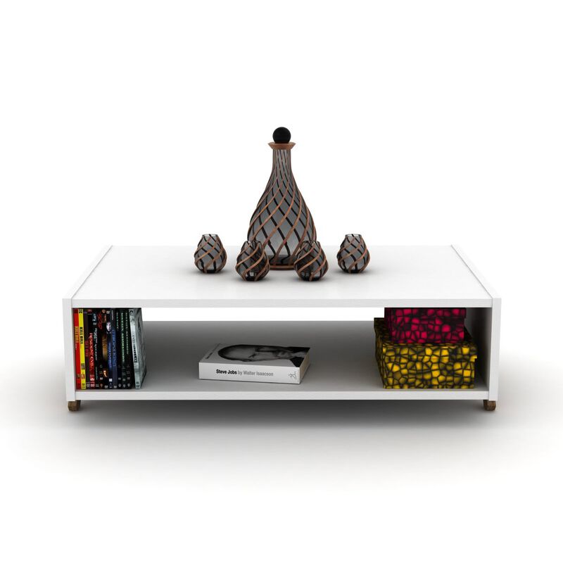 Kipp Coffee Table with Interior Shelving