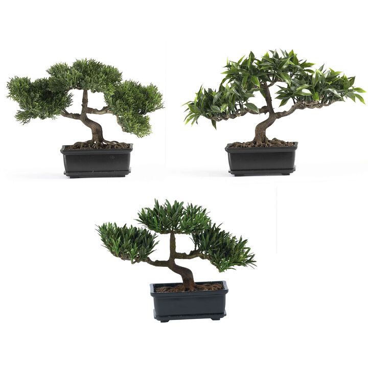 HomPlanti Set of 3 12" Bonsai Silk Plant Collection