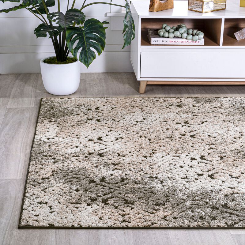 Duenas High-Low Shabby Damask Area Rug