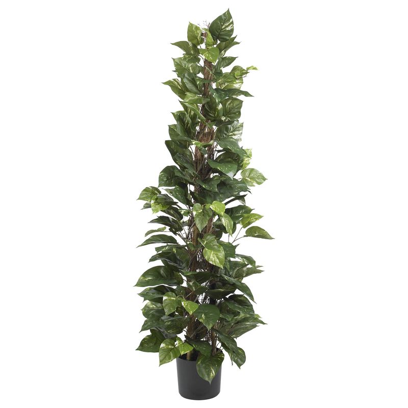 HomPlanti 63" Pothos Climbing Silk Plant