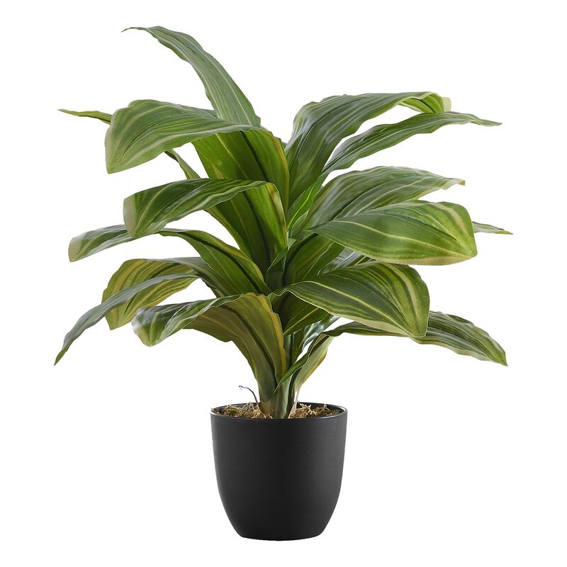 Monarch Specialties I 9573 - Artificial Plant, 17" Tall, Dracaena, Indoor, Faux, Fake, Table, Greenery, Potted, Real Touch, Decorative, Green Leaves, Black Pot