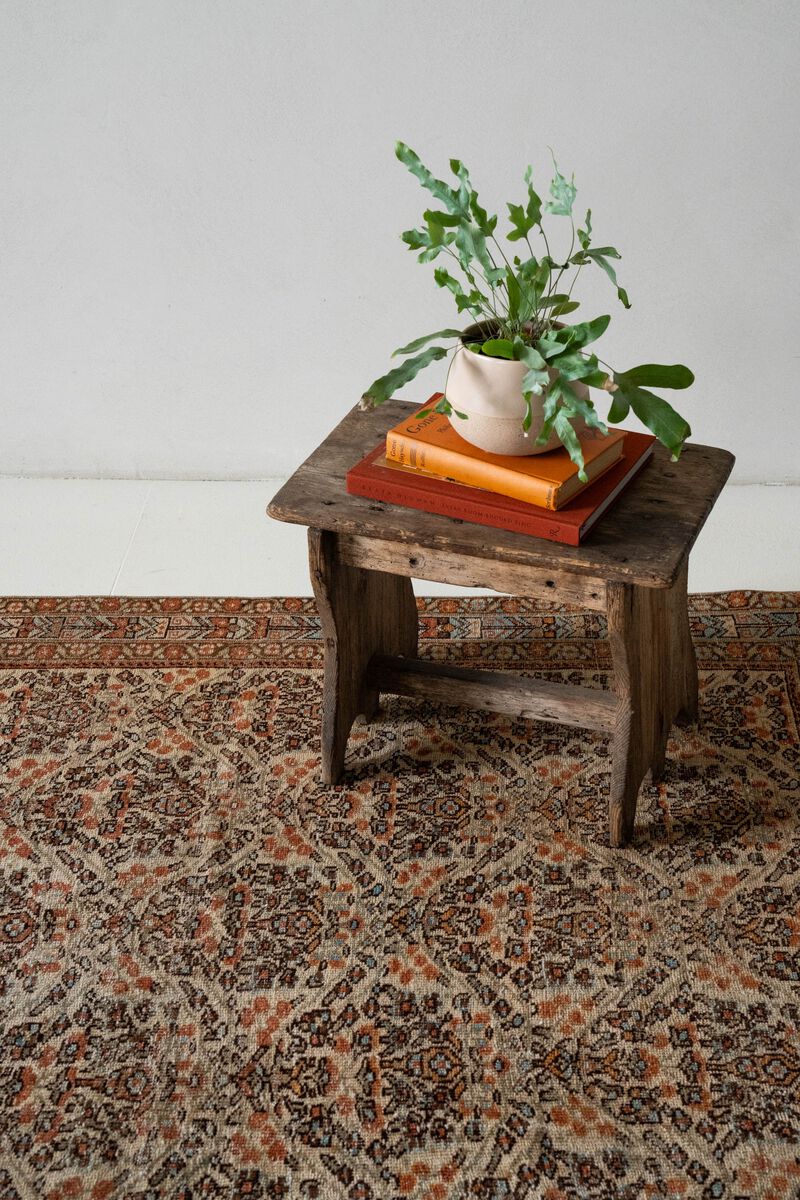 District Loom Vintage Afshar scatter rug-Vandalia