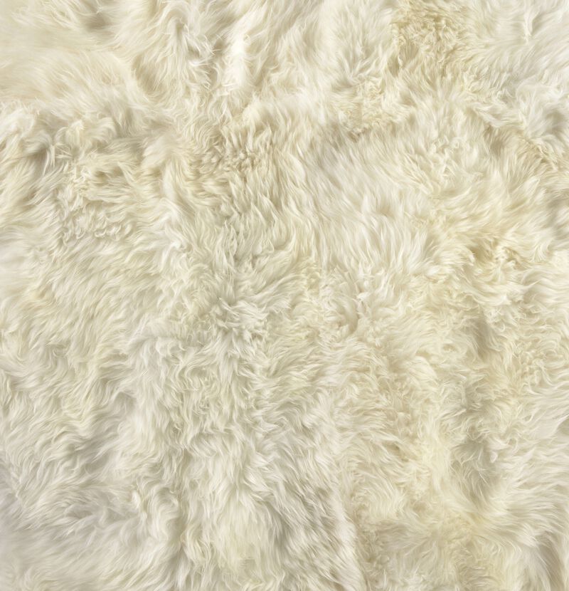 Lalo Cream Lambskin 3.25' x 6' Rug