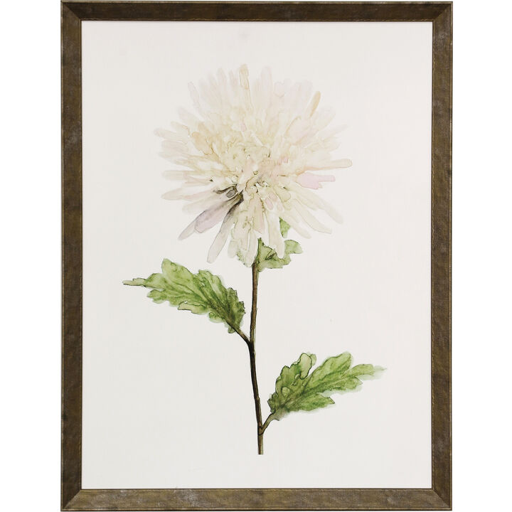 White Blossom IV Framed Print