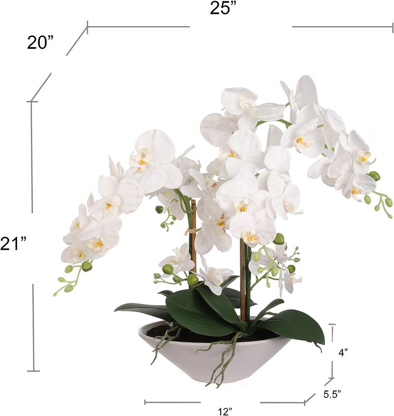 Phalaenopsis Orchid 20 Inch - Lifelike Multi-Bloom Artificial Plant for Elegant Home & Office Decor - Realistic Faux Floral Accent for Lasting Beauty and Style