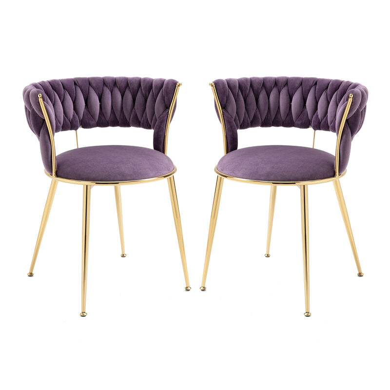 Leisure Dining Chairs With Set of 2