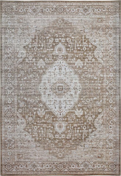 Emir Water-Repellent Transitional Persian Indoor Area Rug