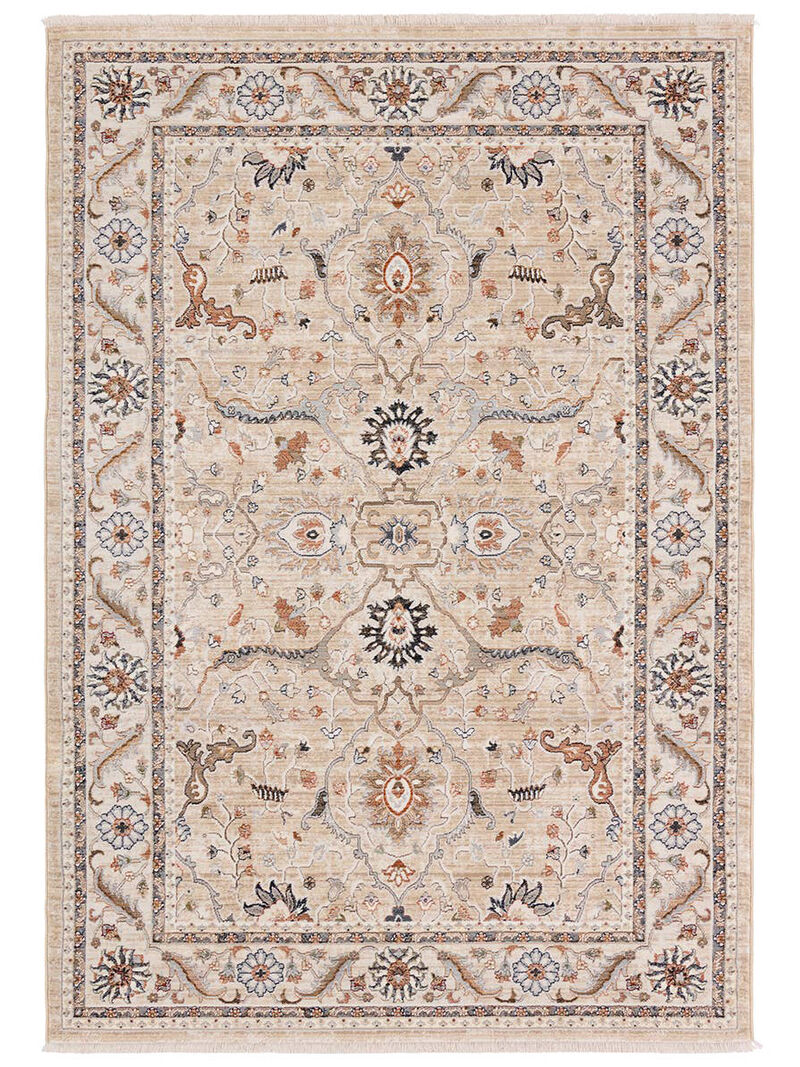 Zefira Romano Tan/Taupe 10' x 14' Rug