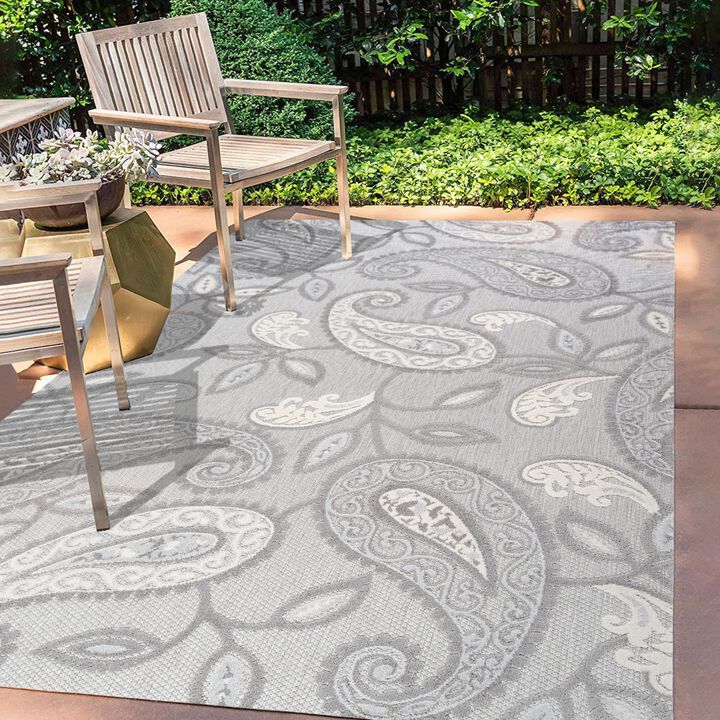 Julien Paisley High-Low Indoor/Outdoor Area Rug