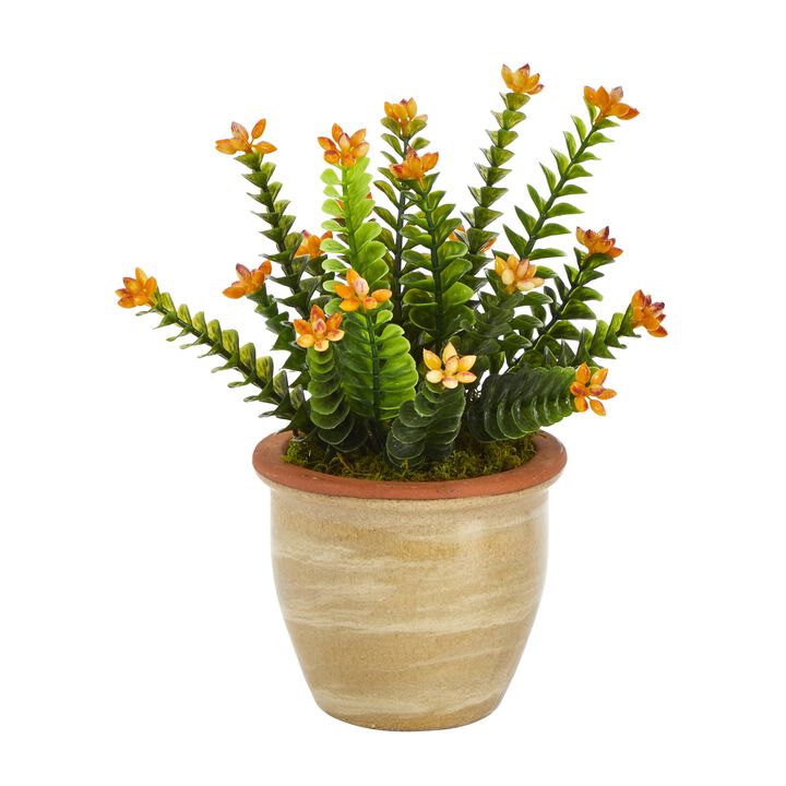 HomPlanti 10" Flowering Sedum Succulent Artificial Plant in Ceramic Planter